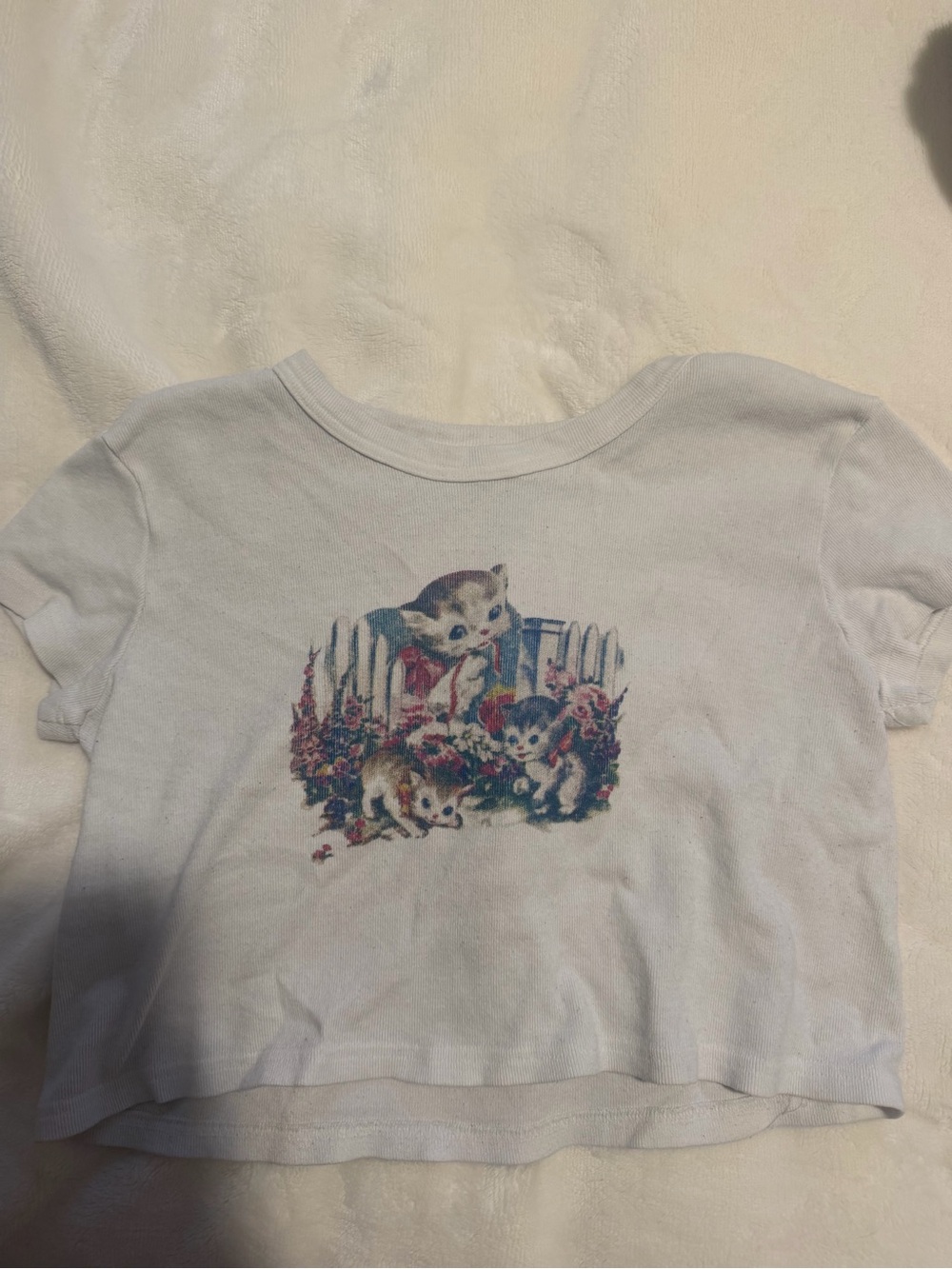 Brandy Melville White Graphic Crop Tee